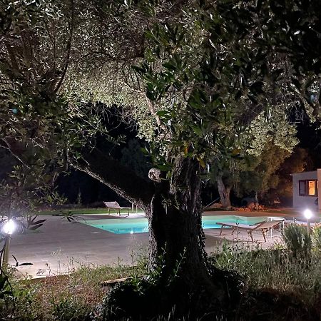 Le Radici Bed & Breakfast Monopoli Dış mekan fotoğraf