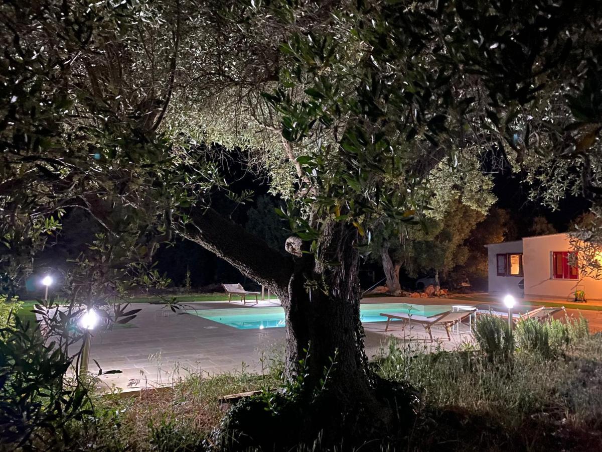 Le Radici Bed & Breakfast Monopoli Dış mekan fotoğraf